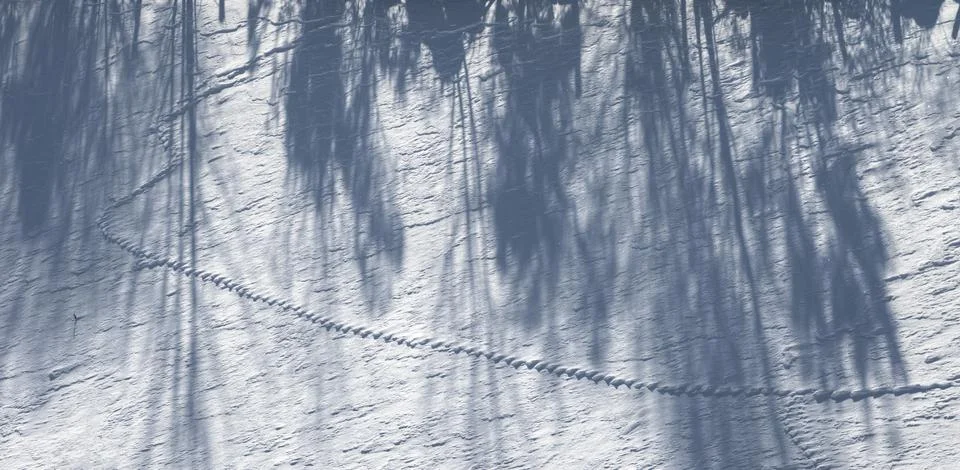 Patterns created by the wind on the snow Stock Photos