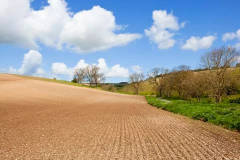 Patterns in cultivated soil Stock Photos