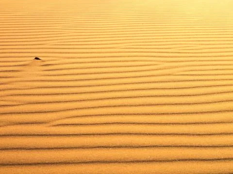 Patterns in the desert sand in the dune 45, Namibia Stock Photos