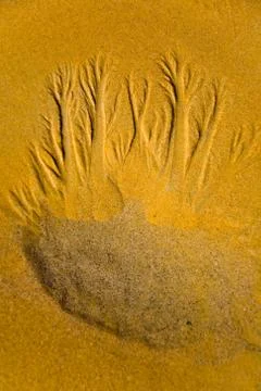 Patterns drawn on sand creek. Stock Photos