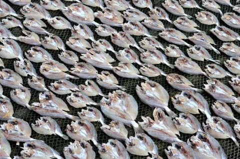 Patterns of dried fish Stock Photos
