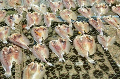 Patterns of dried fish Stock Photos