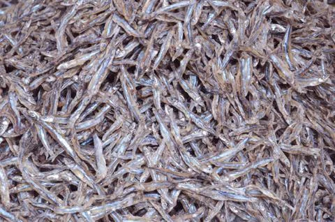 Patterns of dried fish Foto stock