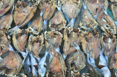 Patterns of dried fish Stock Photos