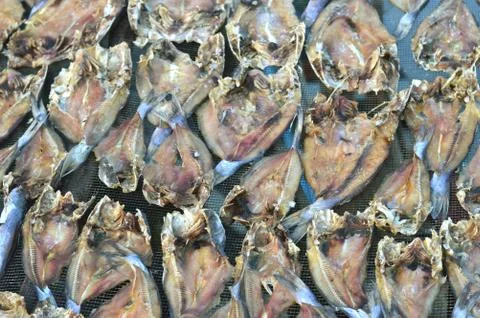 Patterns of dried fish Stock Photos