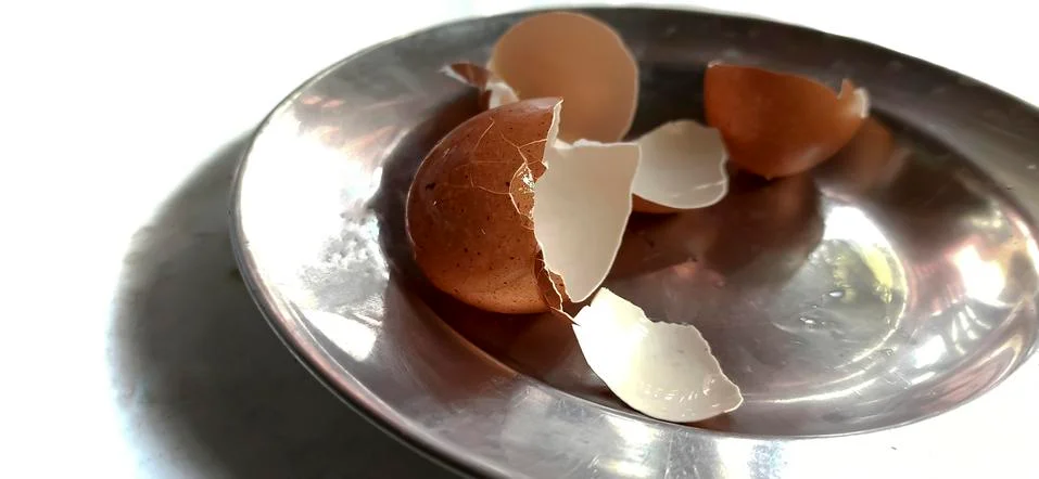 Patterns on egg shells surface Foto stock