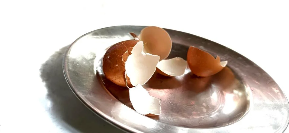 Patterns on egg shells surface Stock Photos