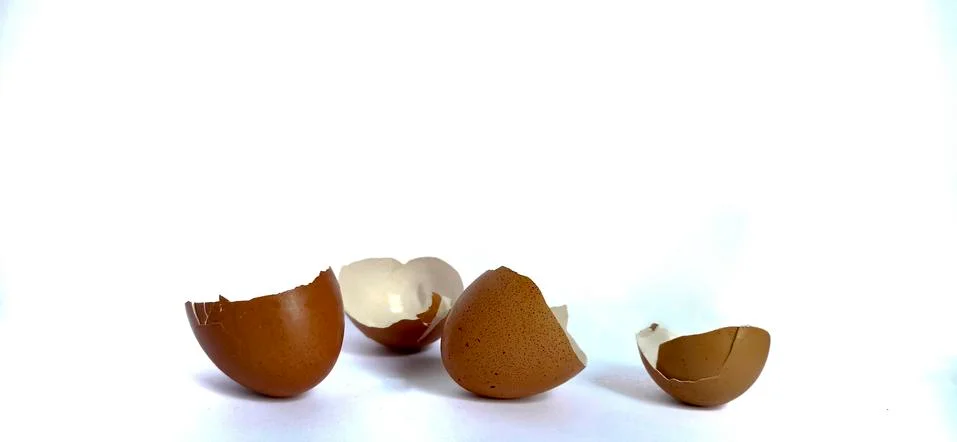 Patterns on egg shells surface Stock Photos
