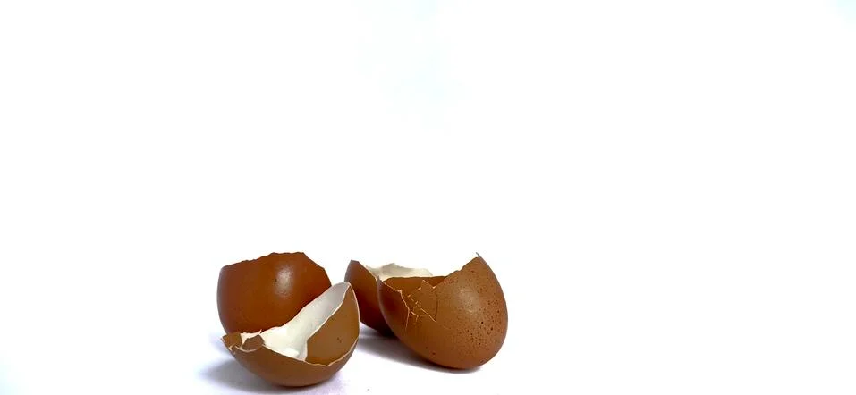 Patterns on egg shells surface Foto stock