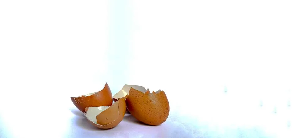 Patterns on egg shells surface Foto stock