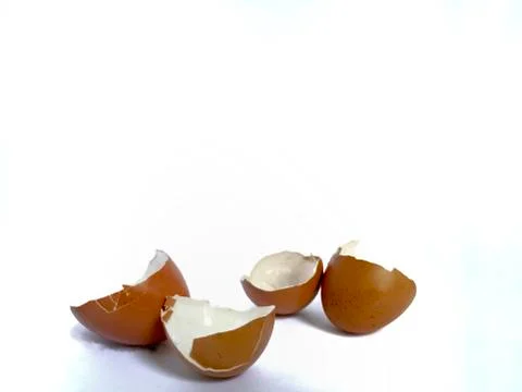 Patterns on egg shells surface Stock Photos