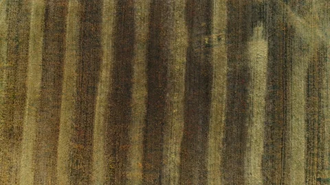 Patterns on the field. Air View Stock Footage 160694607