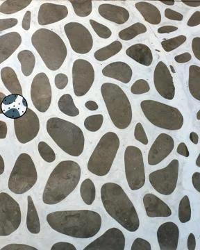 Patterns on the floor Stock Photos