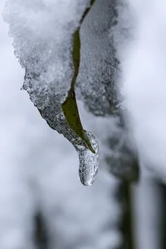 Patterns in the ice, as if made by a master's hand Stock Photos