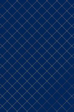 Patterns in japanese style. Vector asian background. Japanese seamless patt.. Stock Illustration