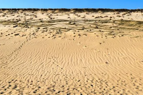 Patterns of lines, waves, footprints and dry grass in nordic dunes of Curonian Stock Photos