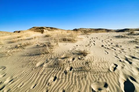 Patterns of lines, waves, footprints and dry grass in nordic dunes of Curonian Stock Photos