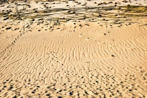 Patterns of lines, waves, footprints and dry grass in nordic dunes of Curonian Stock Photos
