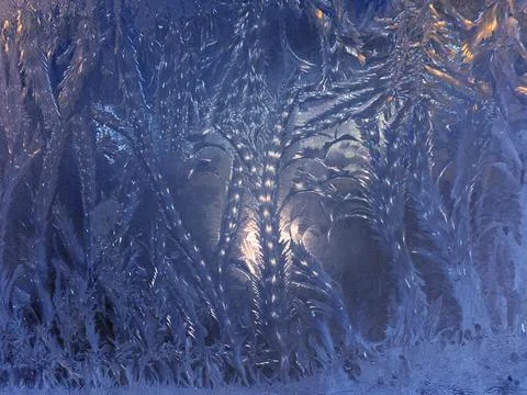 The patterns made by the frost Stock Photos