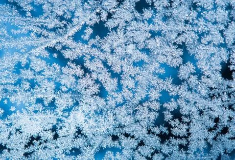 The patterns made by the frost on the window Fotos Stock
