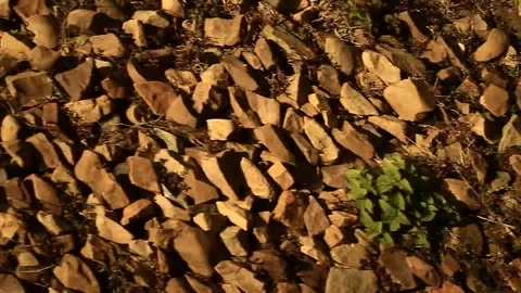 Patterns of the moving trian with audio 2 Video stock 102776044