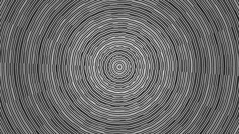 Patterns of natural wood grain with concentric rings and Stock Footage 339499337