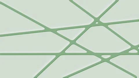 Patterns of nature create intricate designs in urban spaces across various Stock Footage 300103249