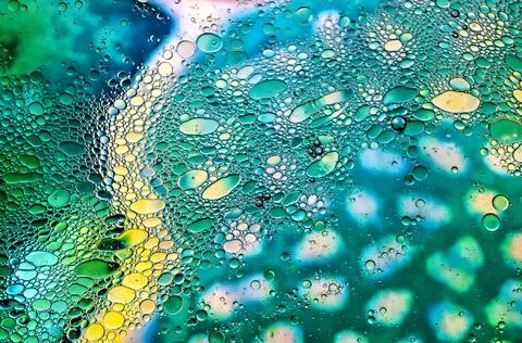 Patterns of the nature Stock Photos