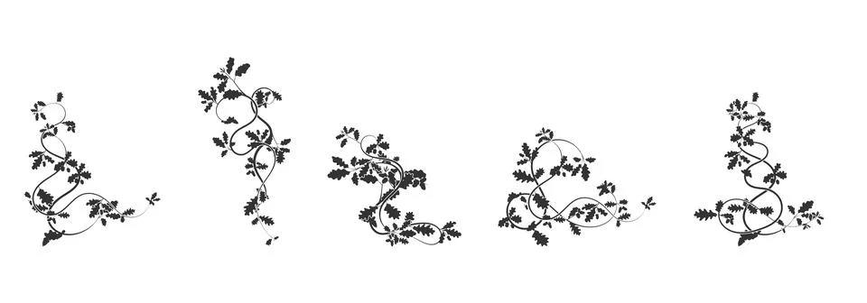 Patterns ornament oak weaving complex elements 스톡 일러스트