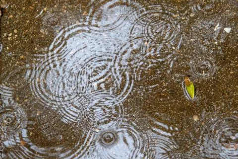 Patterns in a rain puddle Stock Photos