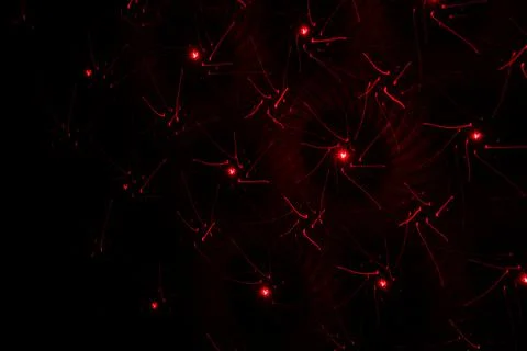 Patterns in red and green on the wall. Laser background. Party or disco conce Stock Photos