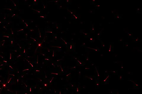 Patterns in red on the wall. Laser background. Party or disco concept. 스톡 사진