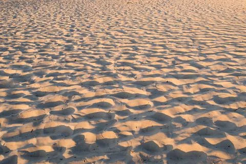 Patterns in the sand on a beach near Prerow, Mecklenburg-West Pomerania, Germ Stock Photos