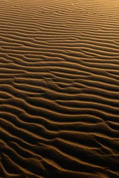 Patterns on the sand at the beach Stock Photos