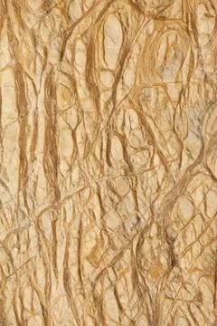 Patterns in sea cliffs at Skala Eresou, on Lesbos, Greece. Stock Photos