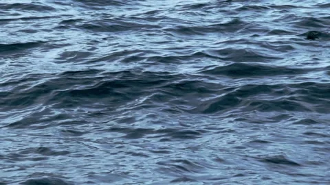 Patterns of the sea surface Stock Footage 243572811