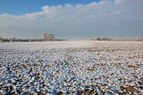Patterns of winter Stock Photos