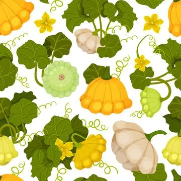 Pattypan Squash Seamless Pattern Design with Scalloped Vegetable Vector Template Stock Illustration