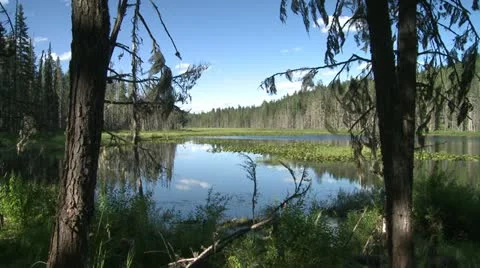 Paul Cotton Films Stock Footage