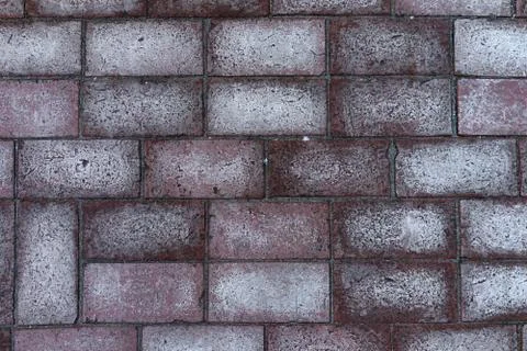 Paul rectangular red brick with white spots 스톡 사진