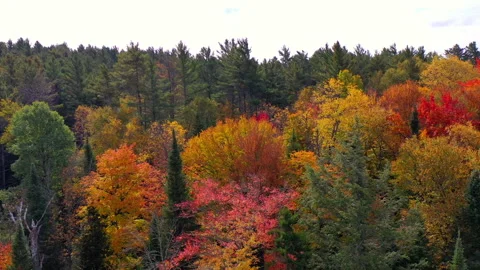 Paul Smiths NY Fall Foliage Barnum Pond ... | Stock Video | Pond5