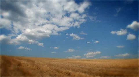 To Paula after harvesting Stock Footage 35253666