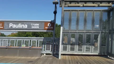 Paulina Brown Line Train Video stock 163469428