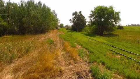 Pause, Fly Along Tracks and Lift Up Color Corrected Stock Footage 98959026