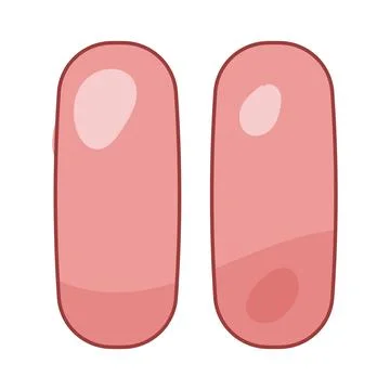Pause Stock Illustration