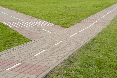 Paved concrete paths in a park among a trimmed green lawn Stock Photos