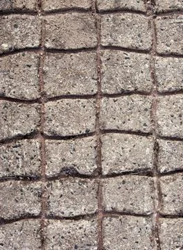 Paved concrete Foto stock