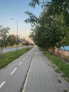 Paved cycling path parallel to sidewalk with grass, trees, road, soft sky light 库存照片