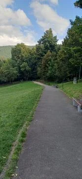 Paved Footpath Winding Through Sunny Green Park with Lush Trees 스톡 사진