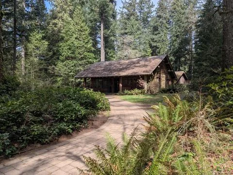 Paved forest path leading to a historic log cabin surrounded by trees 库存照片